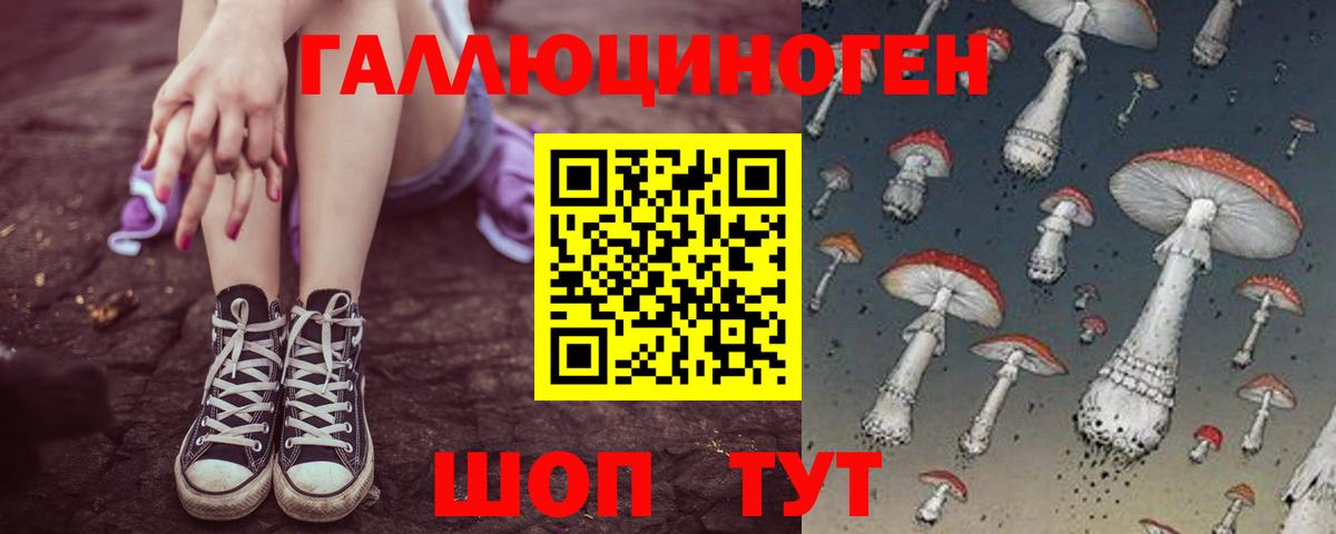 Ростов-на-Дону  Псилоцибиновые грибы Psilocybine cubensis  Вход с VPN 